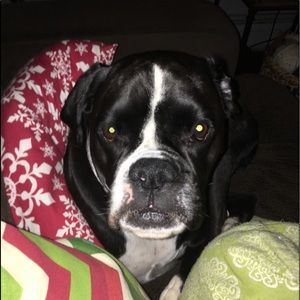 Meet your Posher, Karen